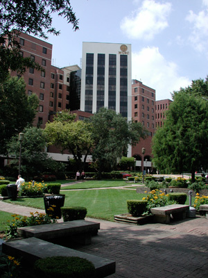 MUSC north Tower